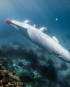 The World’s Most Advanced Personal Submarine from DeepFlight